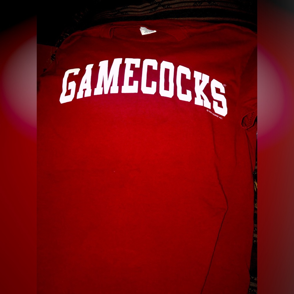 Brand new Gamecocks T-Shirt. Bought at Stadium. Small.